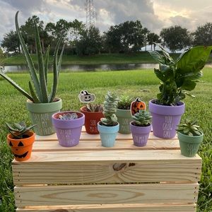 custom plants